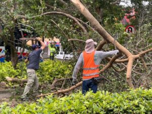 Distrito atiende emergencias ocasionadas por lluvia y fuertes vientos.